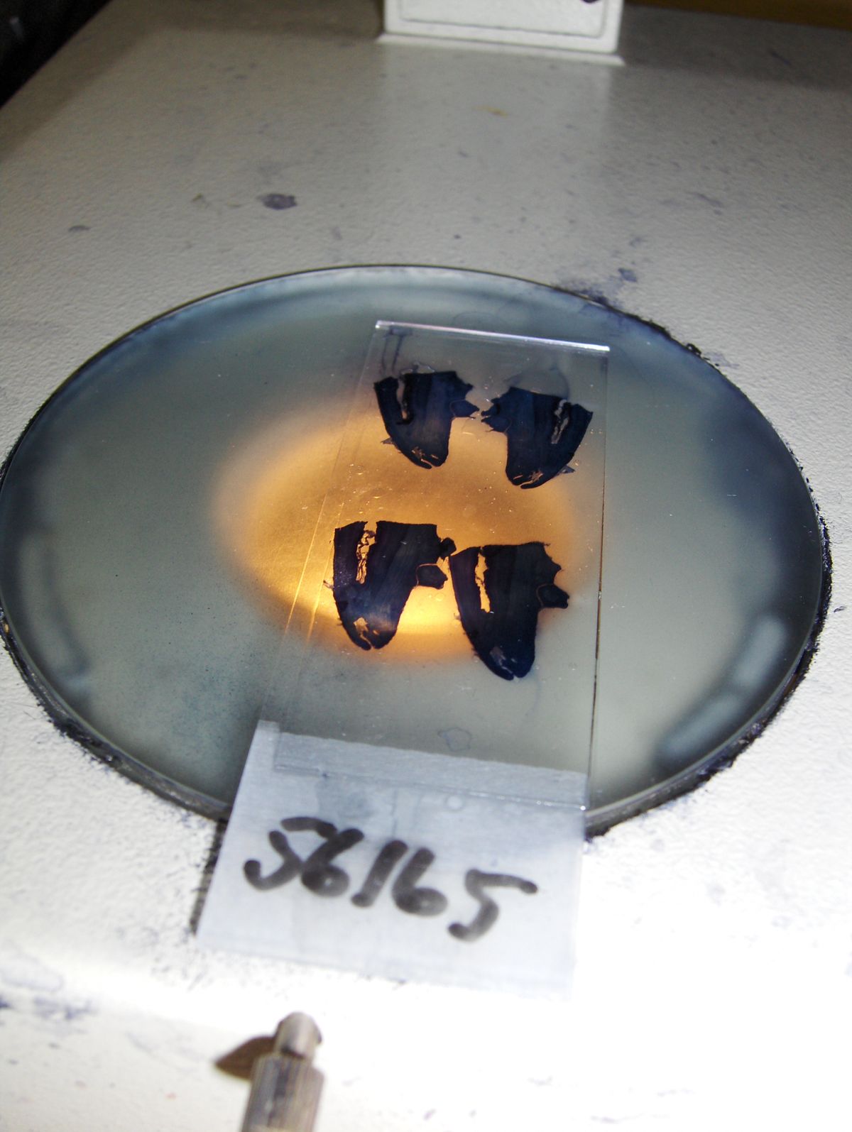 Laboratorieanalyser